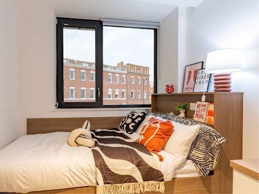 Bronze Plus Studio room type